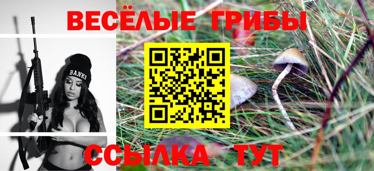 даркнет сайт  Псилоцибиновые грибы Cubensis  Луга  Вход с VPN  Псилоцибиновые грибы Cubensis 